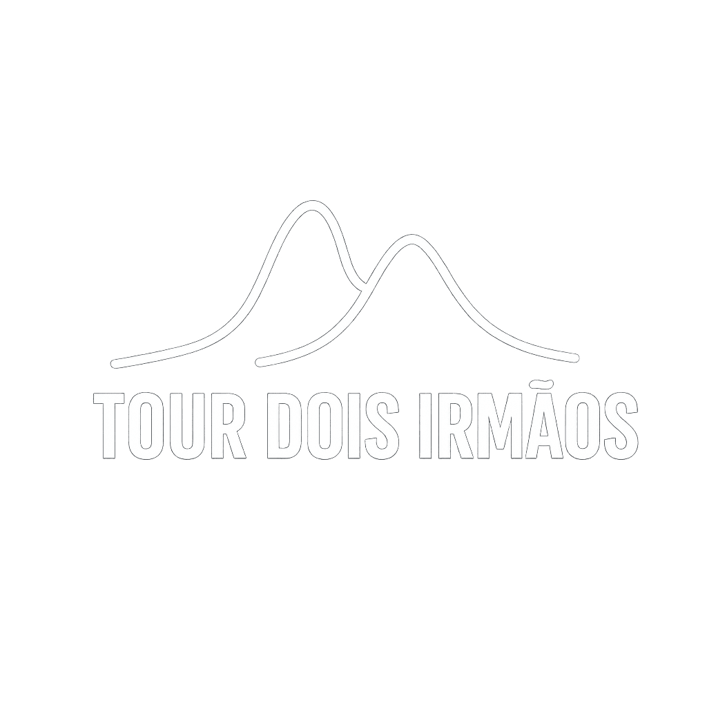 Logomarca Tour Dois Irmãos